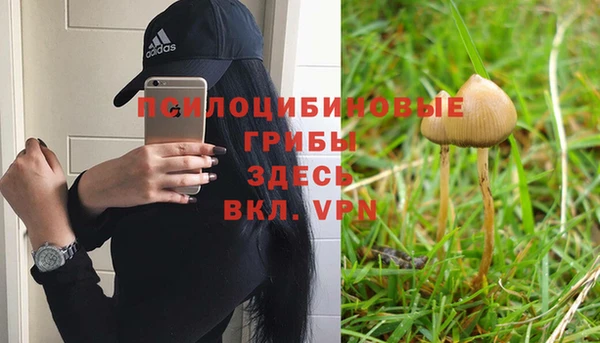 MESCALINE Арсеньев