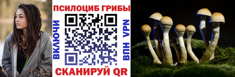 даркнет как зайти  Покровск  Псилоцибиновые грибы Psilocybe  купить наркотик 